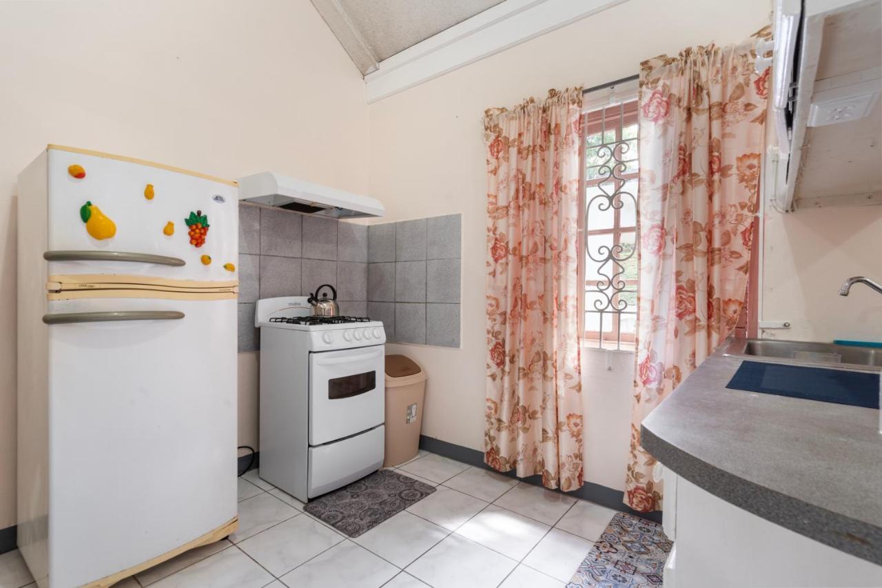Shaw Park Gem Apt 12D Ocho Rios Buitenkant foto